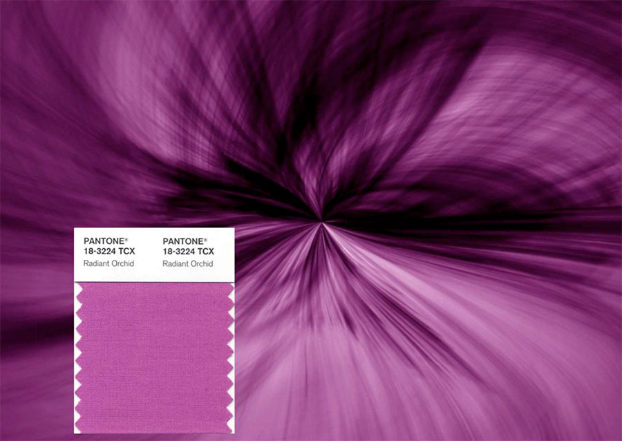 Radiant Orchid Color of the Year 2014